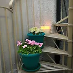 Apartamento Vintage House *