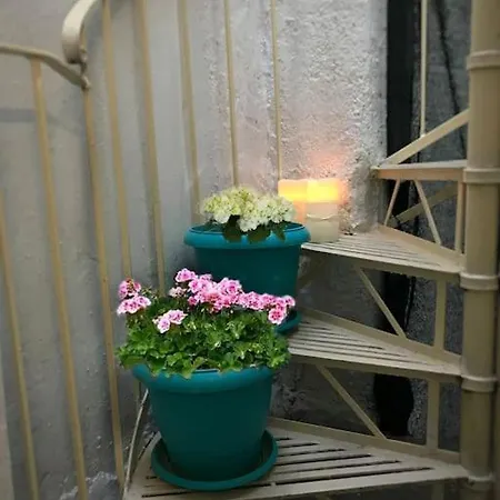 Appartement Vintage House *